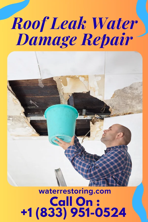 Roof Leak Water Damage Repair in Spring Creek, SD